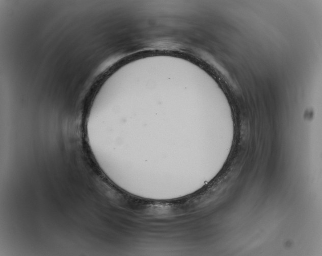 X0000102341315200808291128