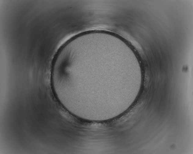 X0000102341316200808291128