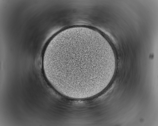X0000102341317200808291128