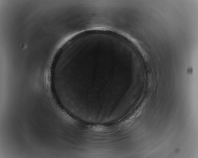X0000102341319200808291128