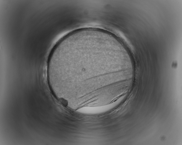 X0000102341320200808291128