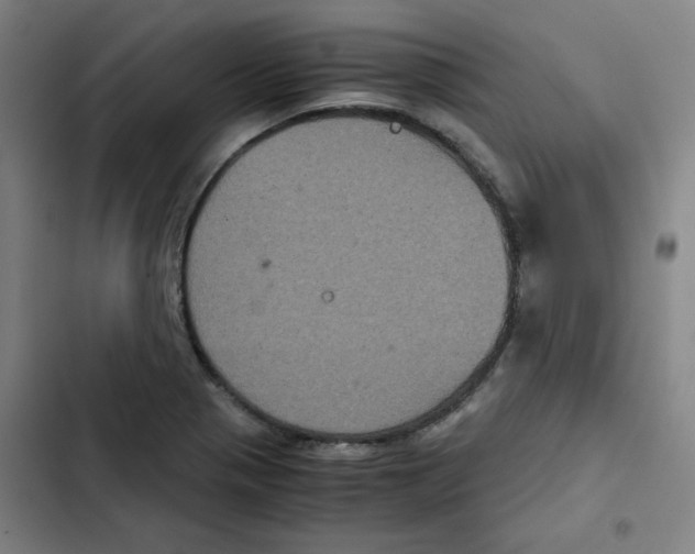 X0000102341321200808291128
