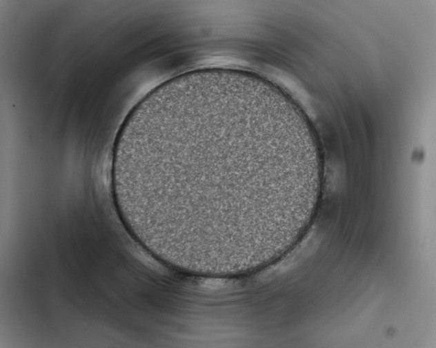 X0000102341322200808291128