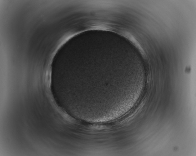 X0000102341323200808291128