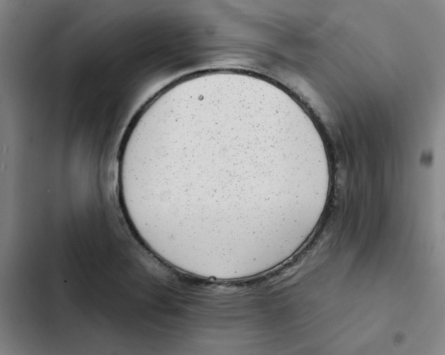 X0000102341324200808291128