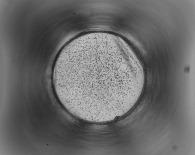 X0000102341325200808291128