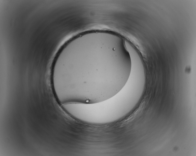 X0000102341326200808291128