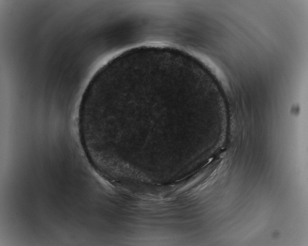 X0000102341327200808291128