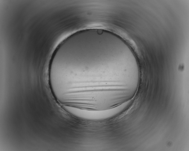 X0000102341328200808291128