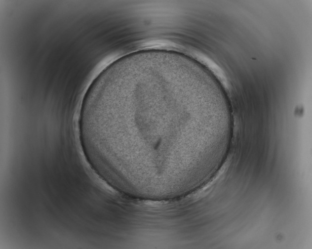 X0000102341330200808291128