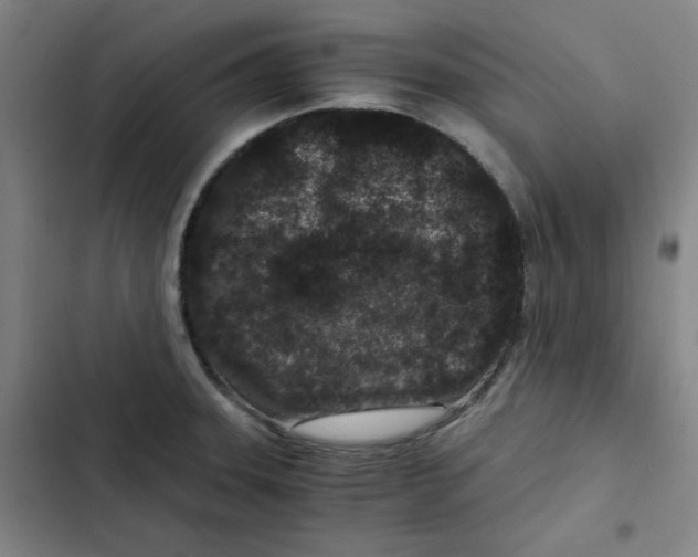 X0000102341331200808291128