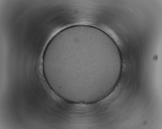 X0000102341332200808291128
