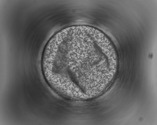 X0000102341333200808291128