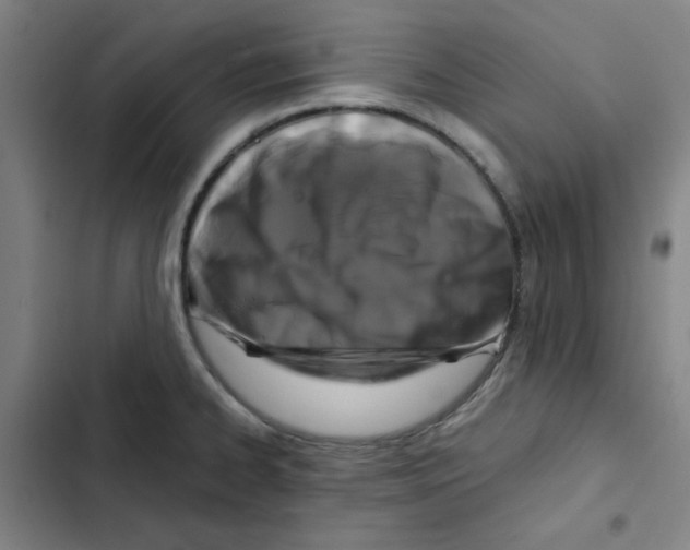 X0000102341334200808291128