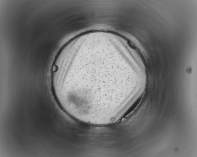 X0000102341335200808291128