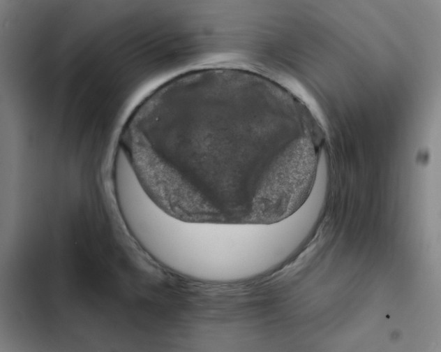X0000102341336200808291128