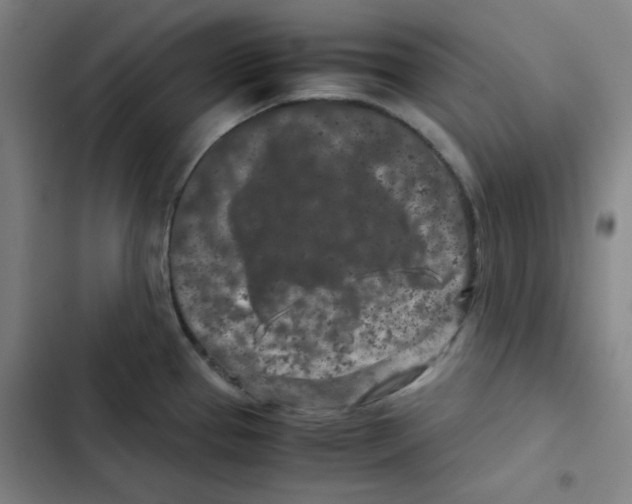 X0000102341337200808291128