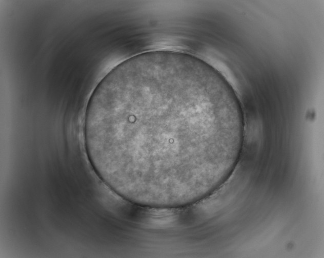 X0000102341338200808291128