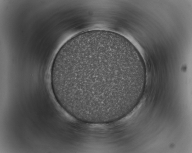 X0000102341341200808291128