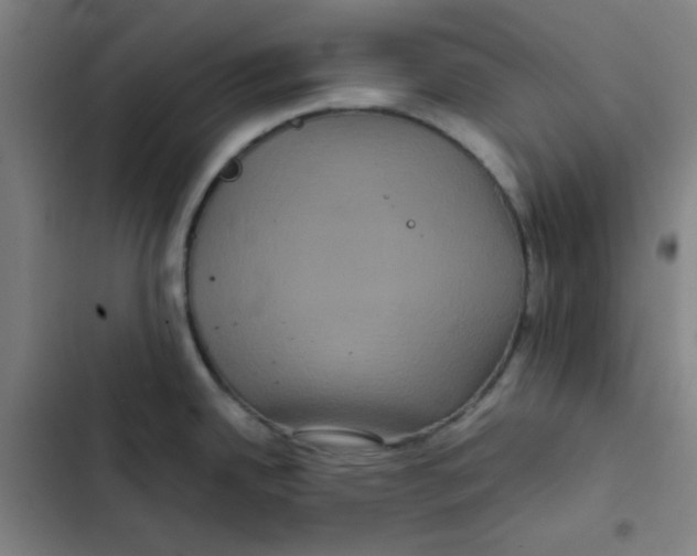 X0000102341342200808291128