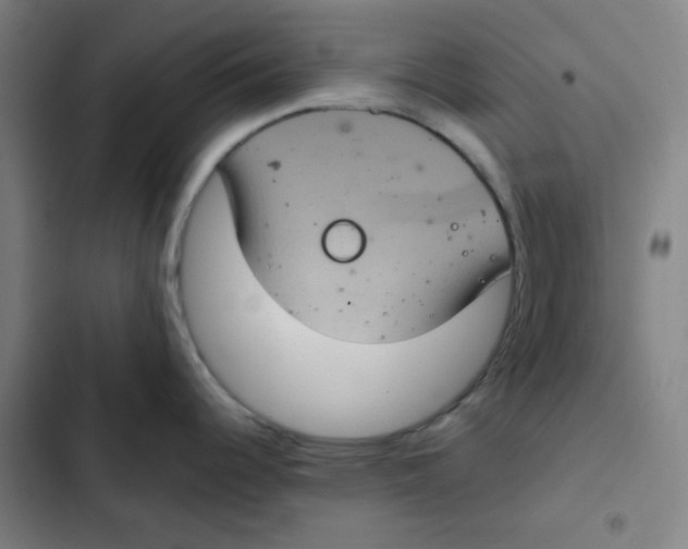 X0000102341344200808291128