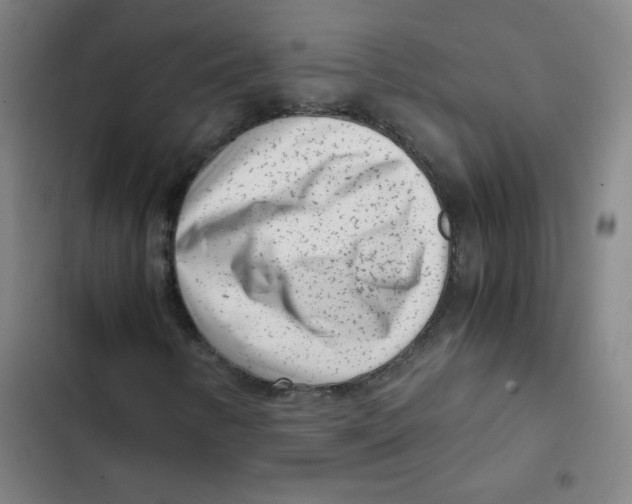 X0000102341346200808291127