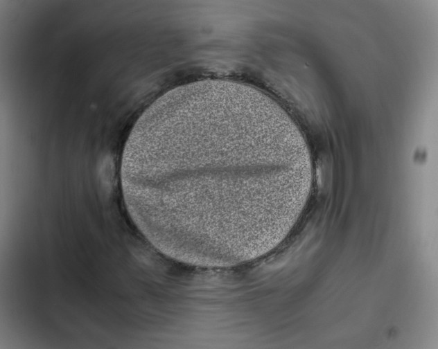 X0000102341347200808291127