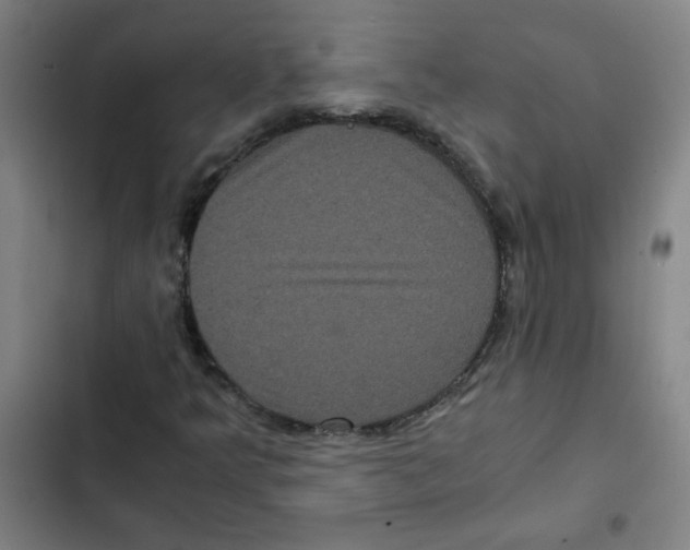 X0000102341349200808291127