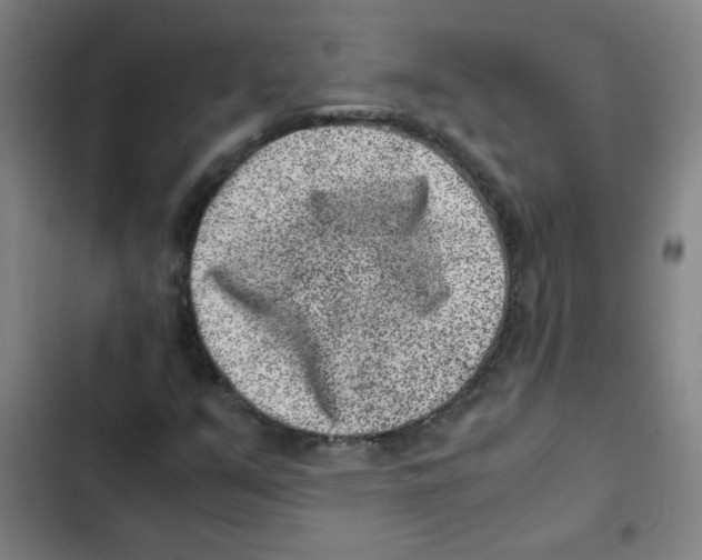 X0000102341351200808291127