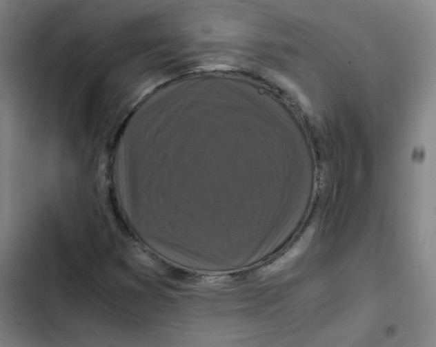 X0000102341353200808291127