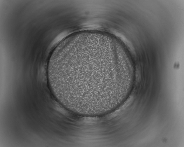 X0000102341354200808291127