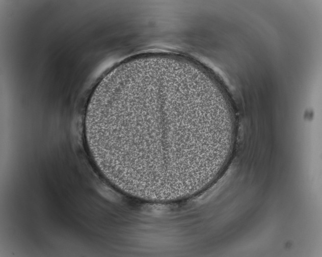 X0000102341355200808291127