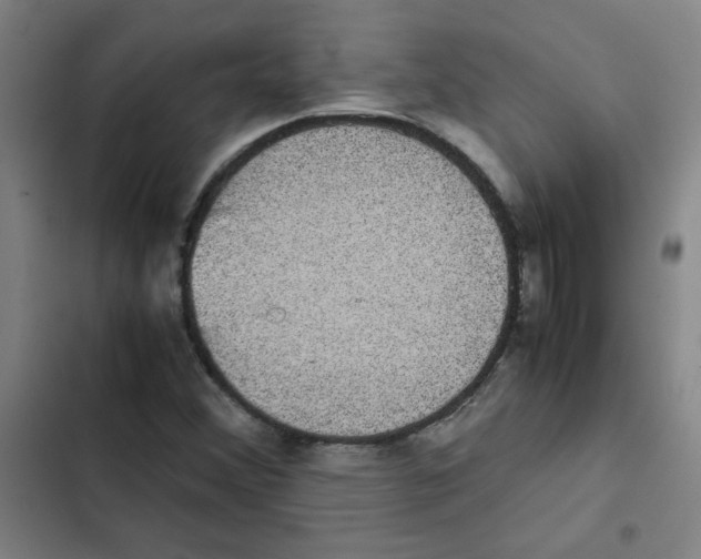 X0000102341356200808291127