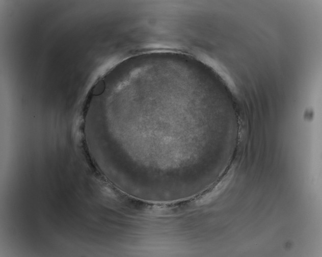 X0000102341357200808291127