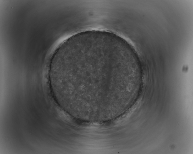 X0000102341359200808291127