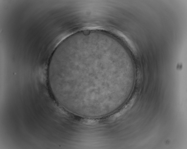 X0000102341361200808291127