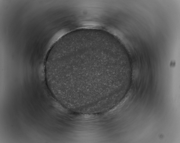 X0000102341362200808291127