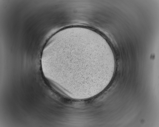 X0000102341363200808291127