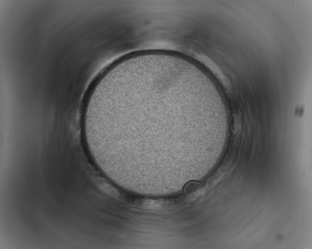 X0000102341364200808291127