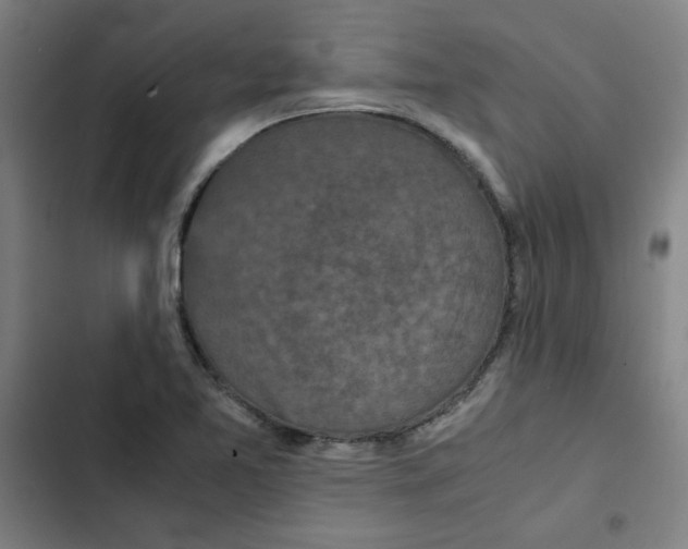 X0000102341365200808291127
