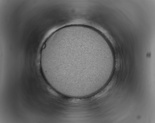 X0000102341366200808291127