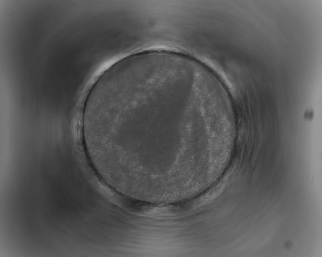 X0000102341367200808291127