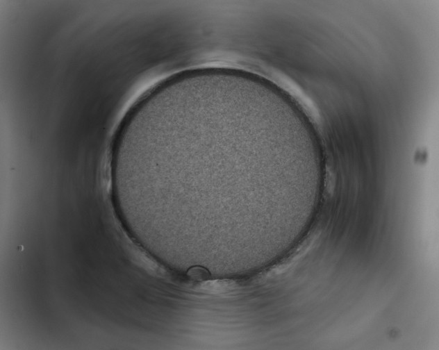 X0000102341368200808291127