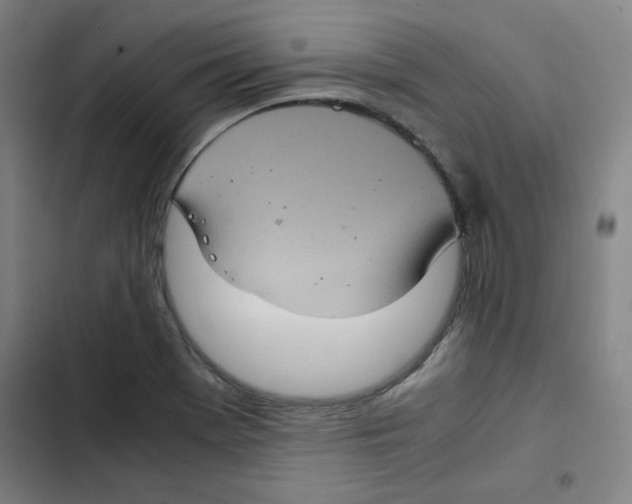 X0000102341369200808291127