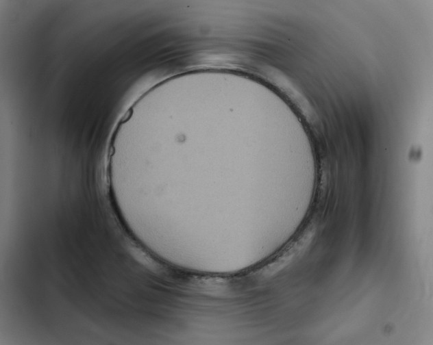 X0000102341370200808291127