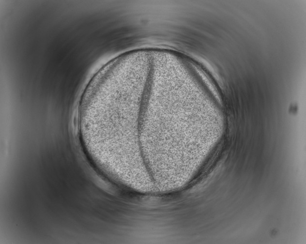 X0000102341371200808291127