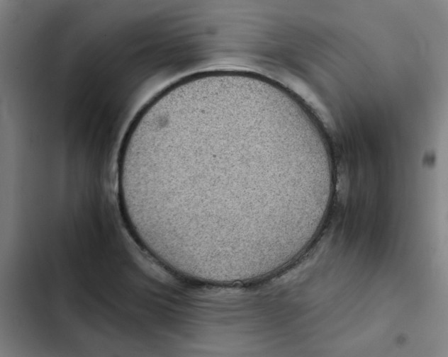 X0000102341372200808291127