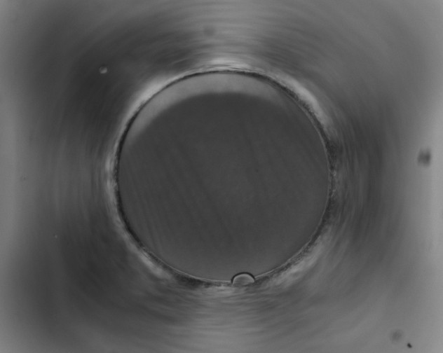 X0000102341373200808291127