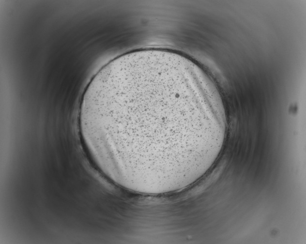 X0000102341374200808291127