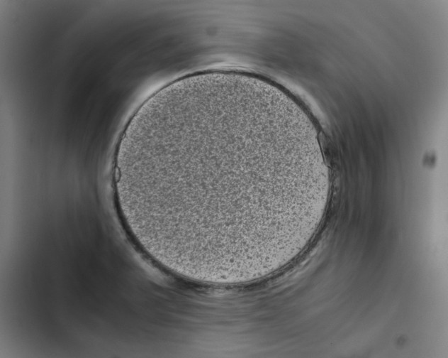 X0000102341375200808291127